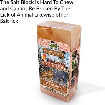 Himalayan Nature - Licking Salt for Deer