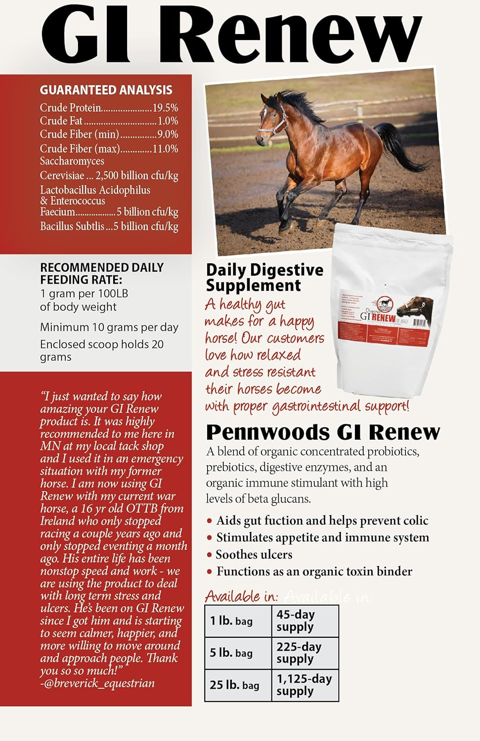 GI Renew, Probiotics for Equine, Immune and Appetite Stimulation, Prebiotics, Digestive Enzymes, Horse Supplement Providing Ulcer Relief and Organic Toxin Binder