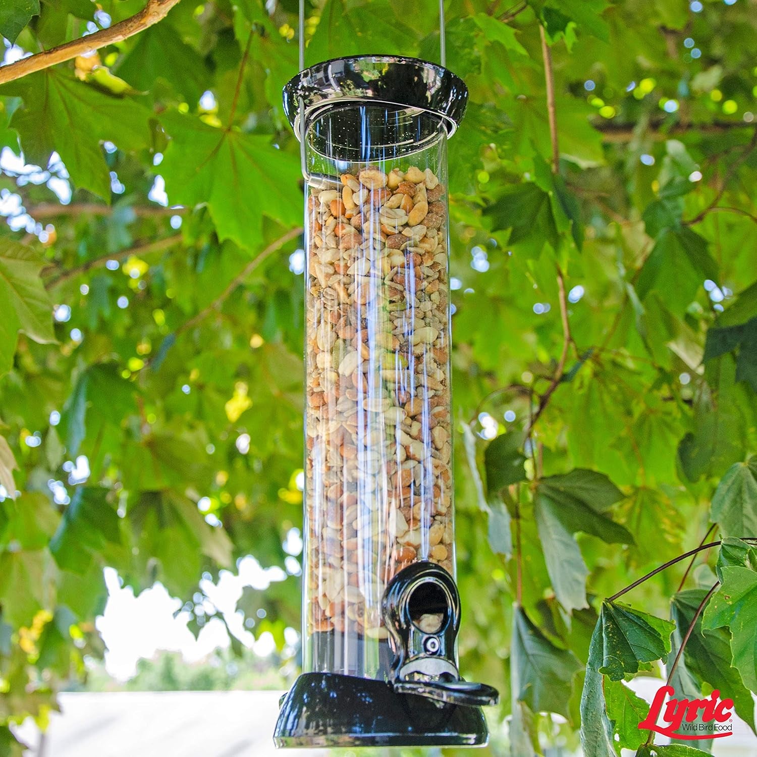 Lyric Delite Wild Bird Seed - No Waste Bird Food Mix with Shell-Free Nuts & Seeds - Attracts Buntings, Chickadees & Finches