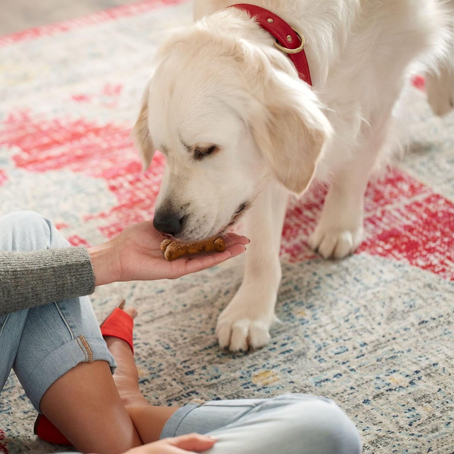 Milk-Bone Pill Pouches Dog Treats, Real Chicken Flavor