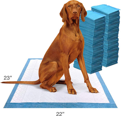 Four Paws Wee-Wee for Dogs of All Sizes, Leak-Proof Floor Protection Dog & Puppy Quilted Potty Training Pads, Unscented, 22" X 23"