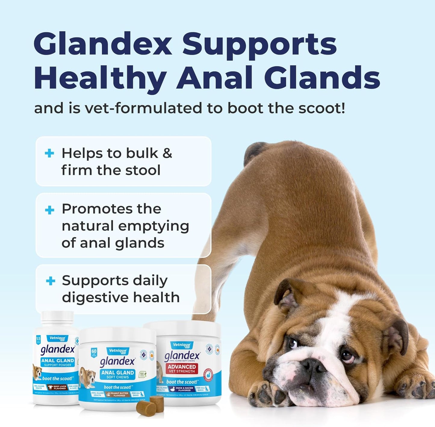 Glandex Anal Gland Soft Chew Treats with Pumpkin for Dogs Digestive Enzymes, Probiotics Fiber Supplement for Dogs Boot the Scoot