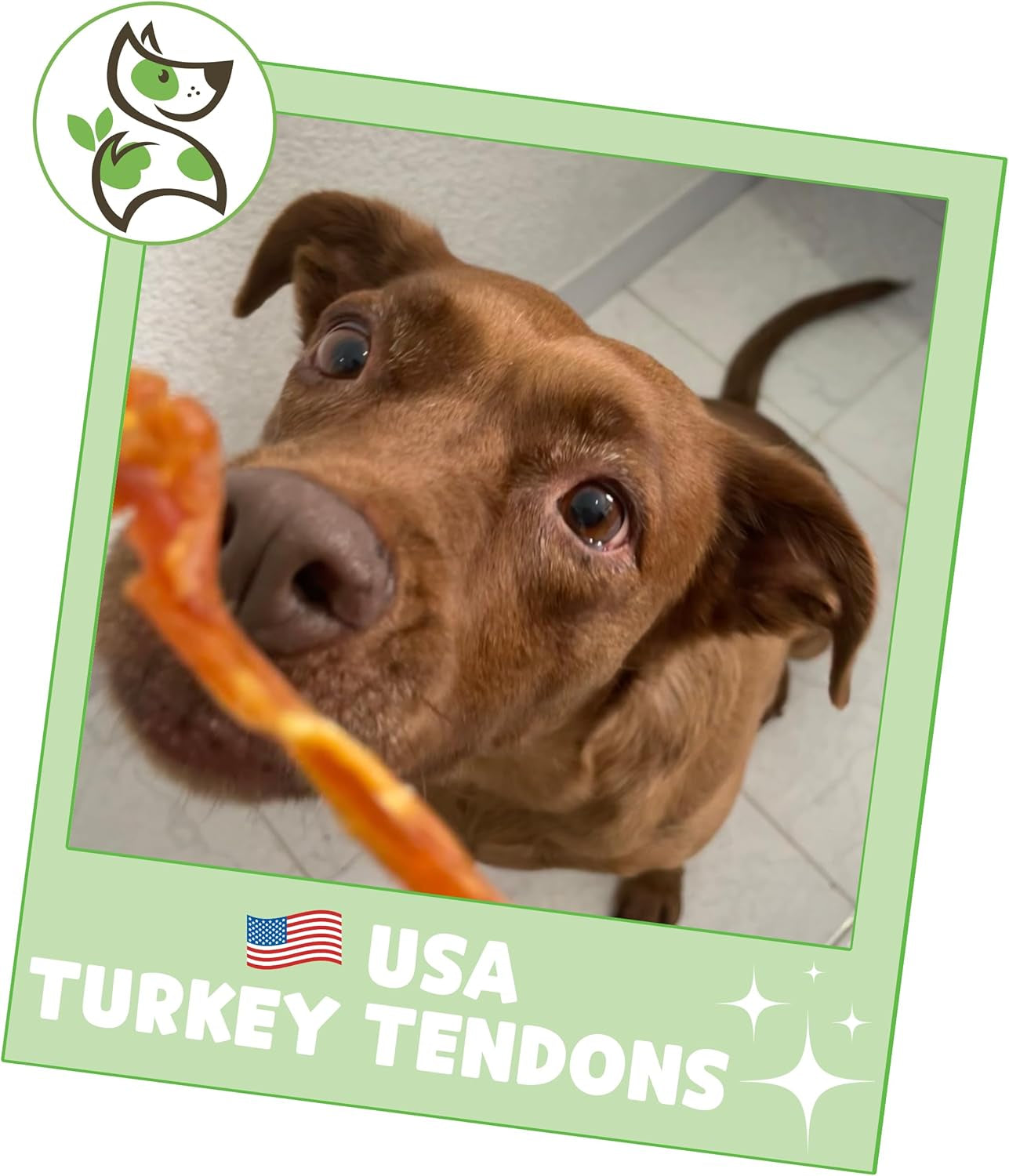 Nature Gnaws USA Turkey for Dogs - Delicious Grain Free Reward Snack for Small, Medium & Large Breeds - Premium Natural Dog Chew Treats