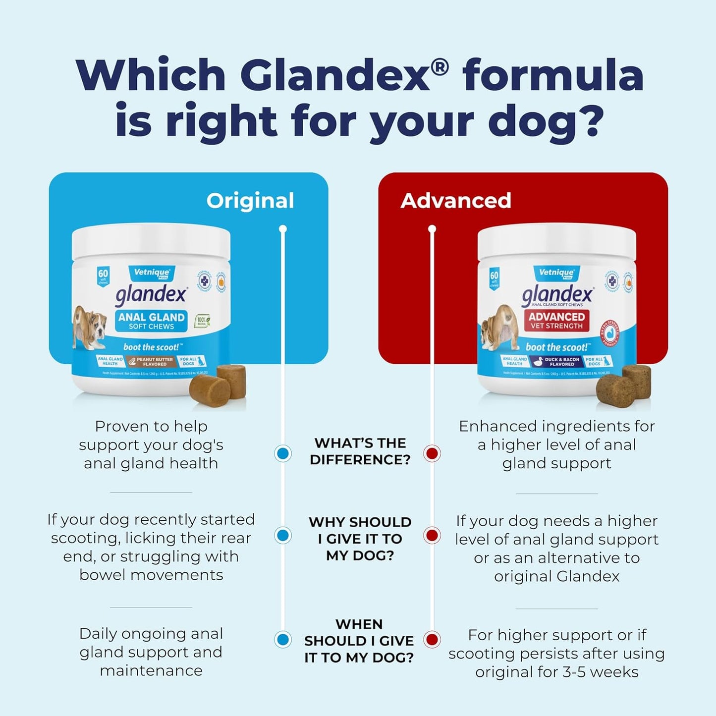 Glandex Anal Gland Soft Chew Treats with Pumpkin for Dogs Digestive Enzymes, Probiotics Fiber Supplement for Dogs Boot the Scoot