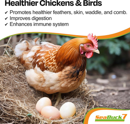 Seabuck 7 Chicken & Bird Supplement with Sea Buckthorn to Improve Egg Quality (1-Month Supply for 20 Chickens) - Earlier Laying, Egg Production Booster & Higher Quality Eggs