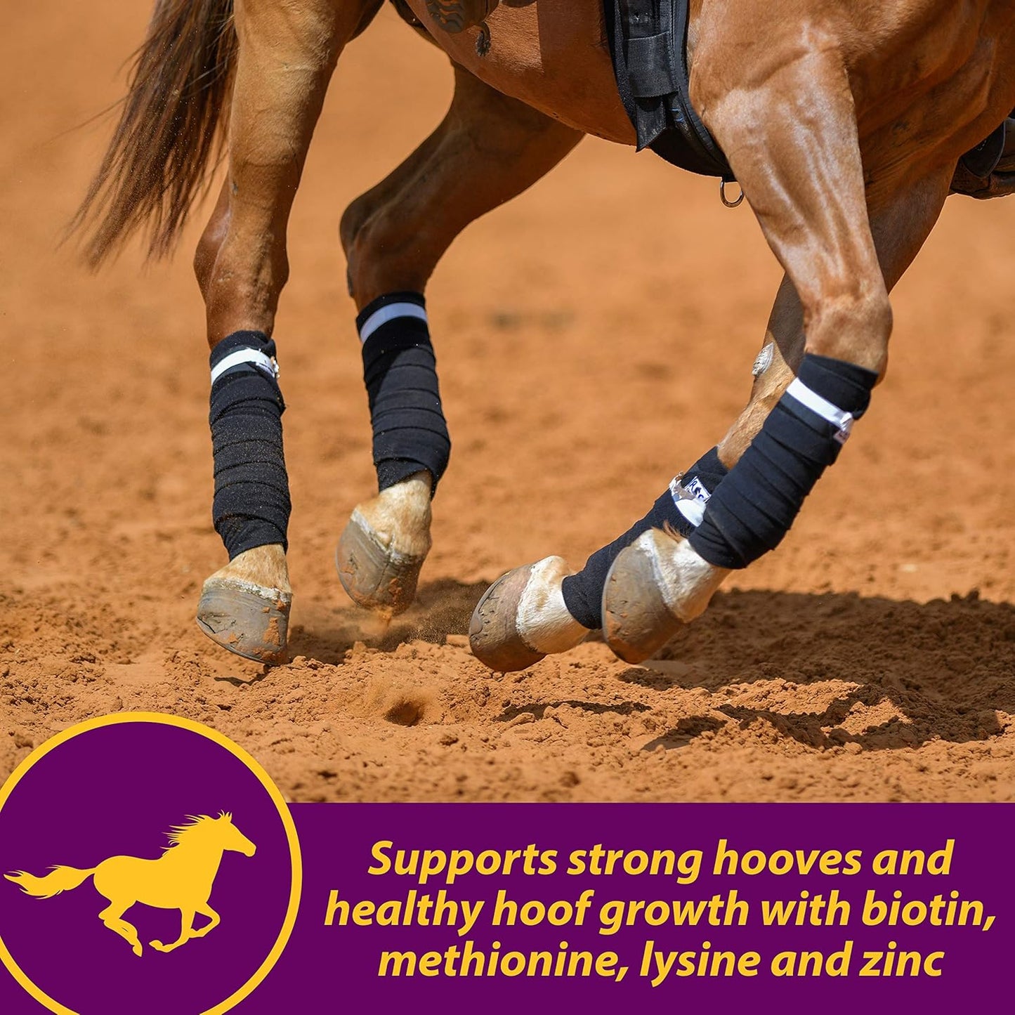 Farnam Horse Health Joint Combo Hoof & Coat, Convenient 3-In-1 Horse Joint Supplement Provides Complete Joint, Hoof and Coat Care