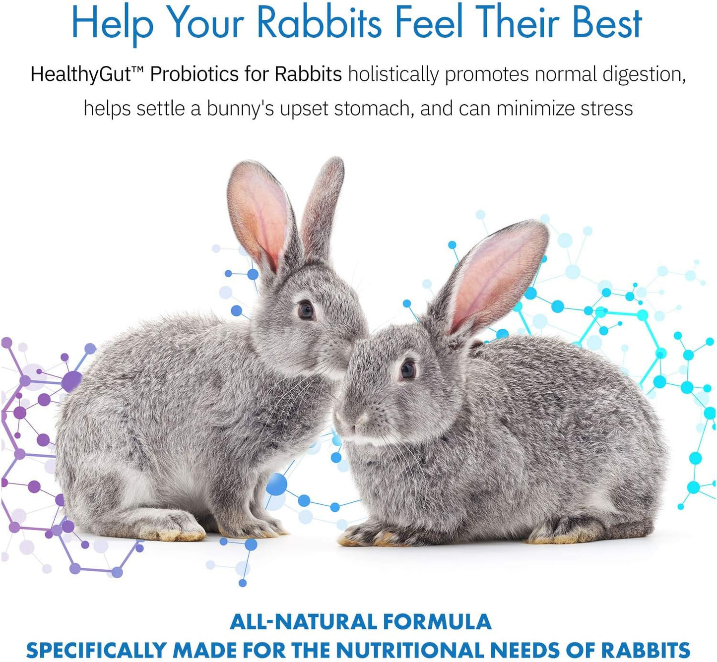 Healthygut™ Probiotics for Rabbits Dietary Supplement, All-Natural Digestive System Formula (600 Servings)