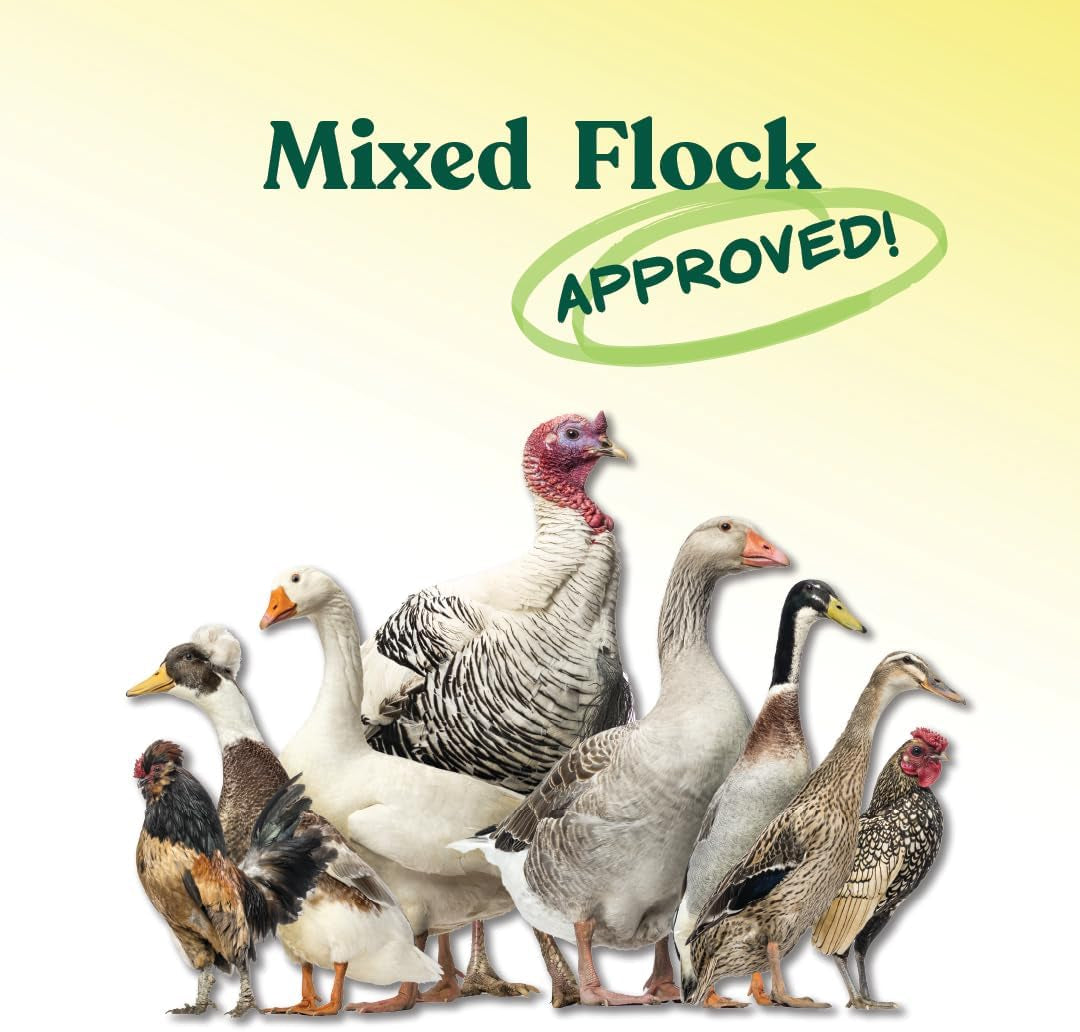 Manna Pro All Flock Crumbles, 16% Protein Level, Complete Feed for Chickens, Ducks, Geese, Turkeys and Gamebirds, Probiotics to Support Digestion, Crumbled Form for Easy Feeding