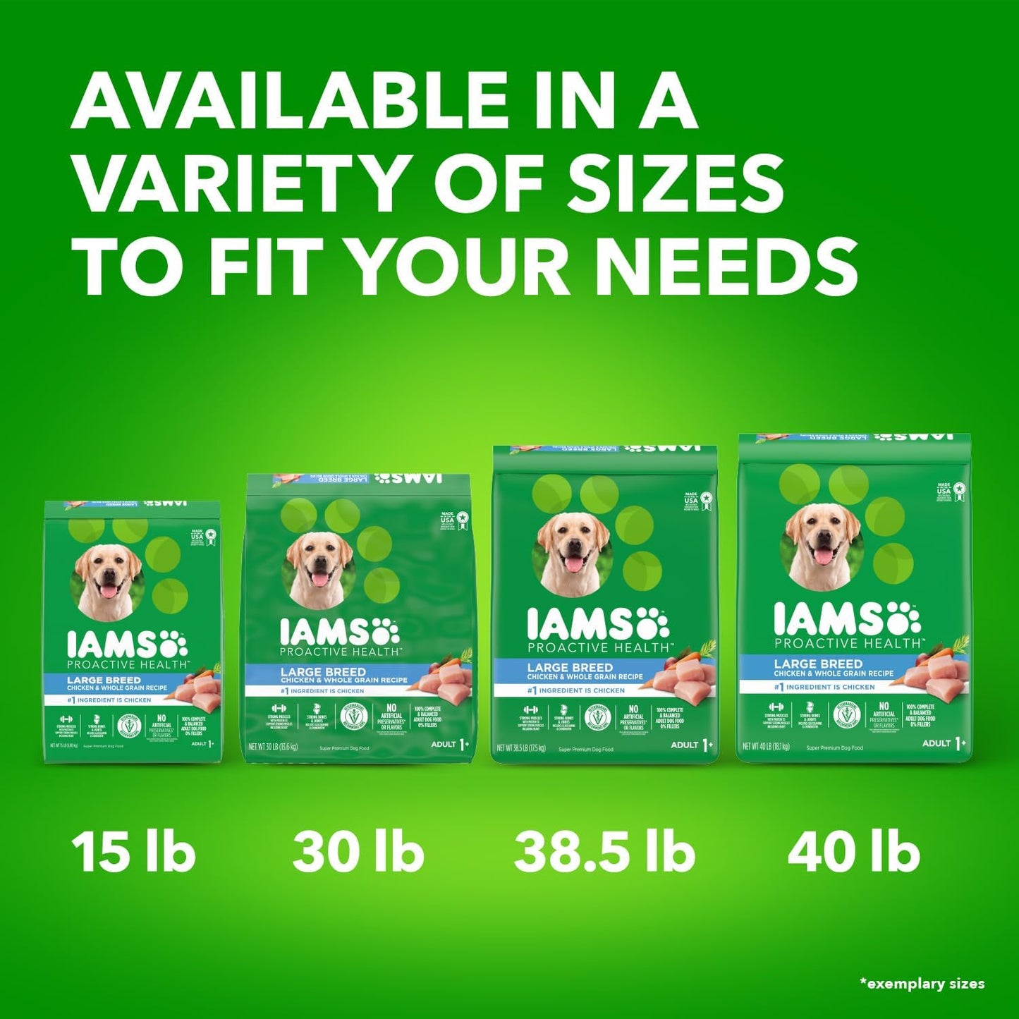 IAMS Proactive Health Large Breed Adult Dry Dog Food with Real Chicken