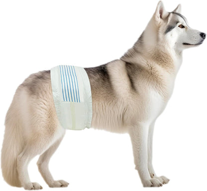 BV Dog Diapers Male Super Absorbent - 50 Count Male Dog Diapers Disposable - Doggie Diapers with Wetness Indicator - Adjustable Male Dog Wraps - Ideal for Incontinence/Training