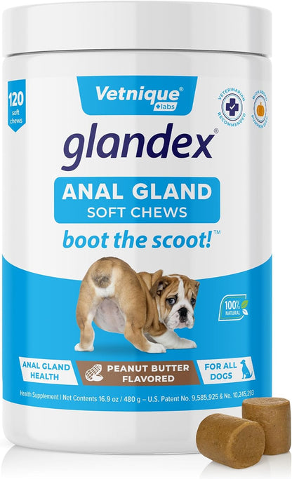 Glandex Anal Gland Soft Chew Treats with Pumpkin for Dogs Digestive Enzymes, Probiotics Fiber Supplement for Dogs Boot the Scoot