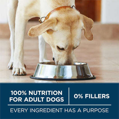 plus Large Breed Adult Dog Food Dry Formula