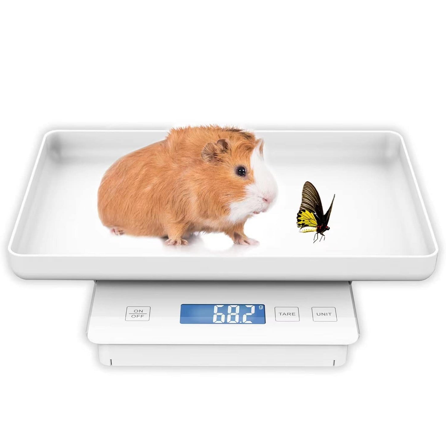 Digital Pet Scale for Small Animal, Whelping Scale,Mini Precision Gram Weight Balance Scale, High Precision 1G, Suitable for Newborn Pets