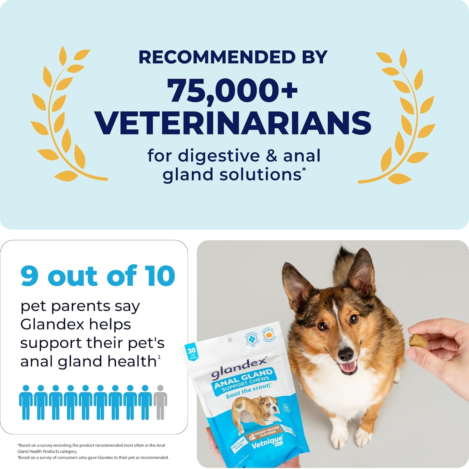 Glandex Anal Gland Soft Chew Treats with Pumpkin for Dogs Digestive Enzymes, Probiotics Fiber Supplement for Dogs Boot the Scoot