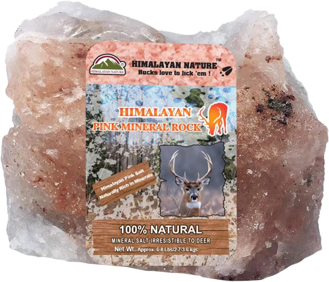 Himalayan Nature - Licking Salt for Deer