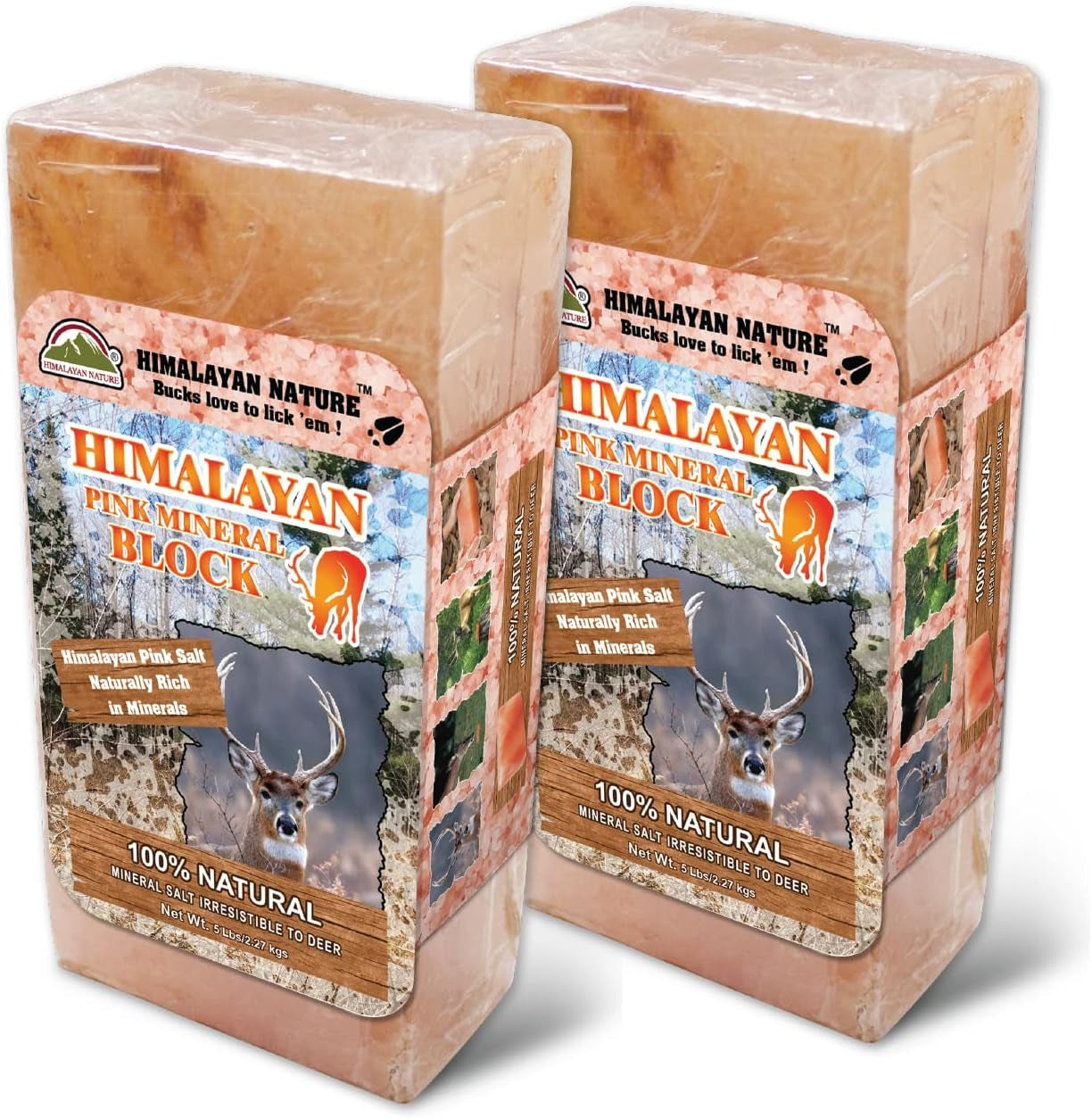 Himalayan Nature - Licking Salt for Deer