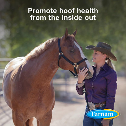 Farnam Horseshoer'S Secret Pelleted Hoof Supplements, Promotes Healthy Hoof Growth, Maintains Hoof Walls & Supports Cracked Hooves