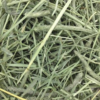 Oxbow Animal Health Western Timothy Hay - All Natural Hay for Rabbits, Guinea Pigs, Chinchillas, Hamsters & Gerbils