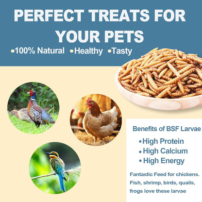 Dried Black Soldier Fly Larvae for Chickens - High Protein Chicken Food 100% Natural - BSF Larvae More Calcium than Dried Mealworms, Chicken Treats for Laying Hens Ducks Birds