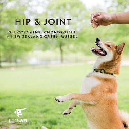 Dogswell Jerky Hip and Joint Dog Treats Grain Free Made in USA Only, Glucosamine and Chondroitin