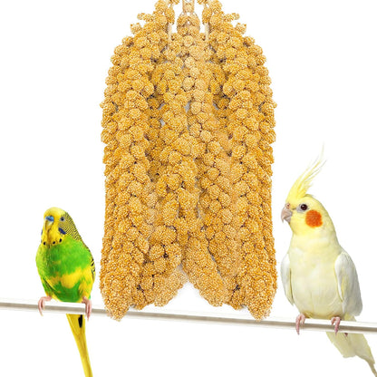 Fhiny Millet Spray for Birds, Natural Sun-Dried Millet for Birds Original Parakeet Food & Treats Spray Millet for Parakeets Parrots Cockatiels Lovebirds Finches Budgies Hamsters