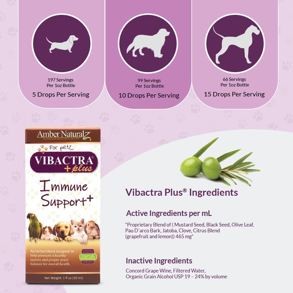 Vibactra plus Herbal Supplement for Dogs, Cats, Birds, Guinea Pigs, and Rabbits | Herbs for Immune Health and Yeast Balance | 1 Fluid Ounce Glass Bottle | Manufactured in the USA