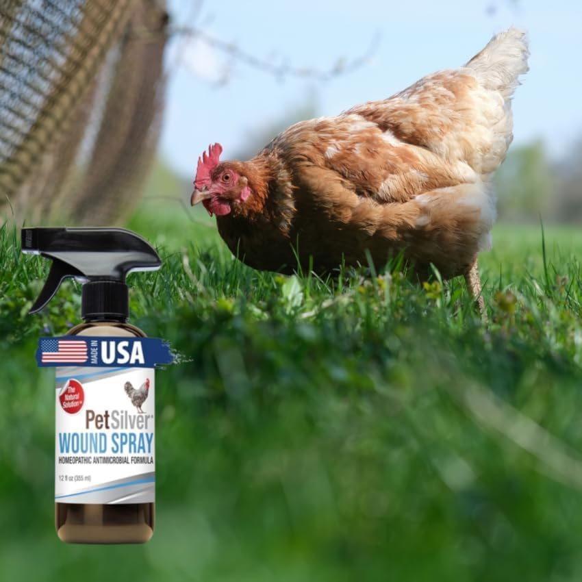 Wound Spray Chicken & Bird Formula with Patented Chelated Silver, Healing Aid for Pecking Sores, Bumble Foot, Cuts, Wounds, Burns, and Skin Irritations, Chicken Care, Made in USA, 12 Fl. Oz.