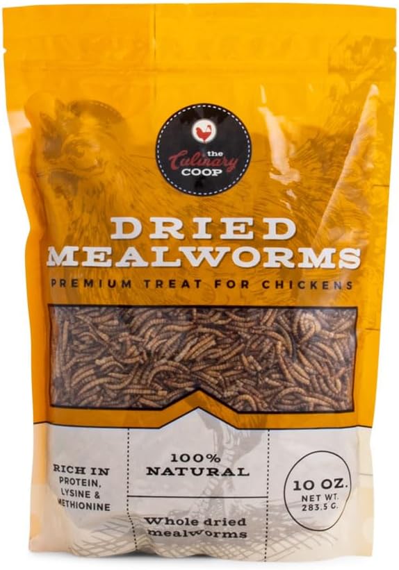 Fluker'S Culinary Coop Premium Chicken Treats, Mealworms, High Protein Worm, Nutritious Treat