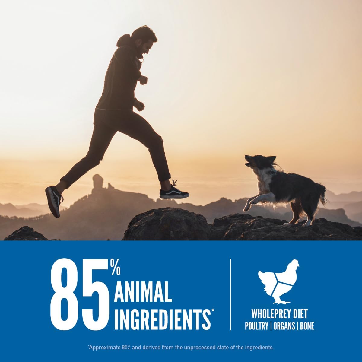 ORIJEN Original Dry Dog Food, Grain Free Dog Food for All Life Stages, Fresh or Raw Ingredients