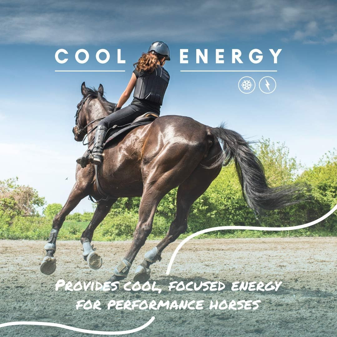 Manna Pro Cool Calories 100, Equine Dry Fat Supplement for Healthy Weight Gain