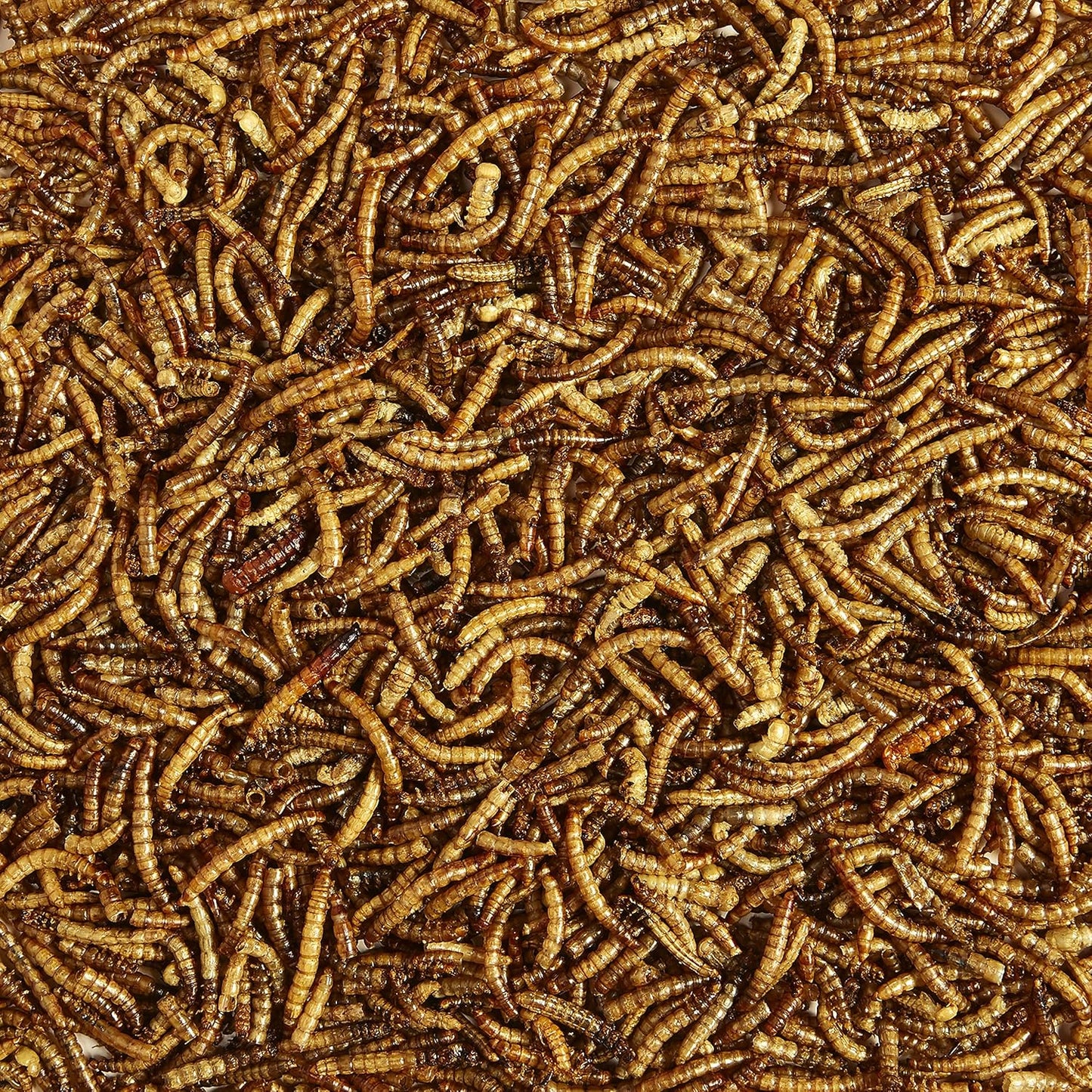 Kaytee Wild Bird Food Mealworms for Bluebirds, Wrens, Robins, Chickadees, Woodpeckers, Cardinals & Chickens