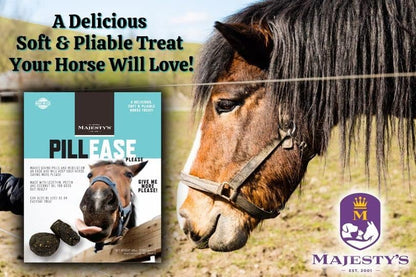 Majesty'S Pillease Horse Treats, a Delicious Soft and Pliable No Bake Cookie Horse Treat, Makes Giving Pills & Medication Easy, Made in the USA - 48 Wafers