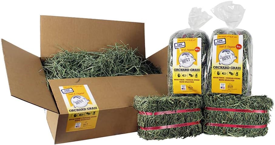 Grandpa'S Best Premium Orchard Grass Hay for Rabbits, Guinea Pigs, Chinchillas, Hamsters & Gerbils