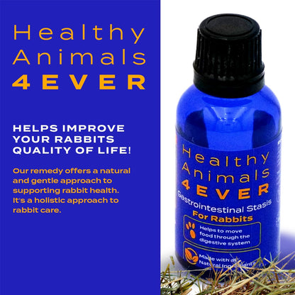 Healthy Animals 4Ever All-Natural Rabbit Gastrointestinal Stasis Treatment, Effective Homeopathic Support for GI Stasis - Promotes Healthy Digestion Rabbit Digestive Health Tablets, 300 Count