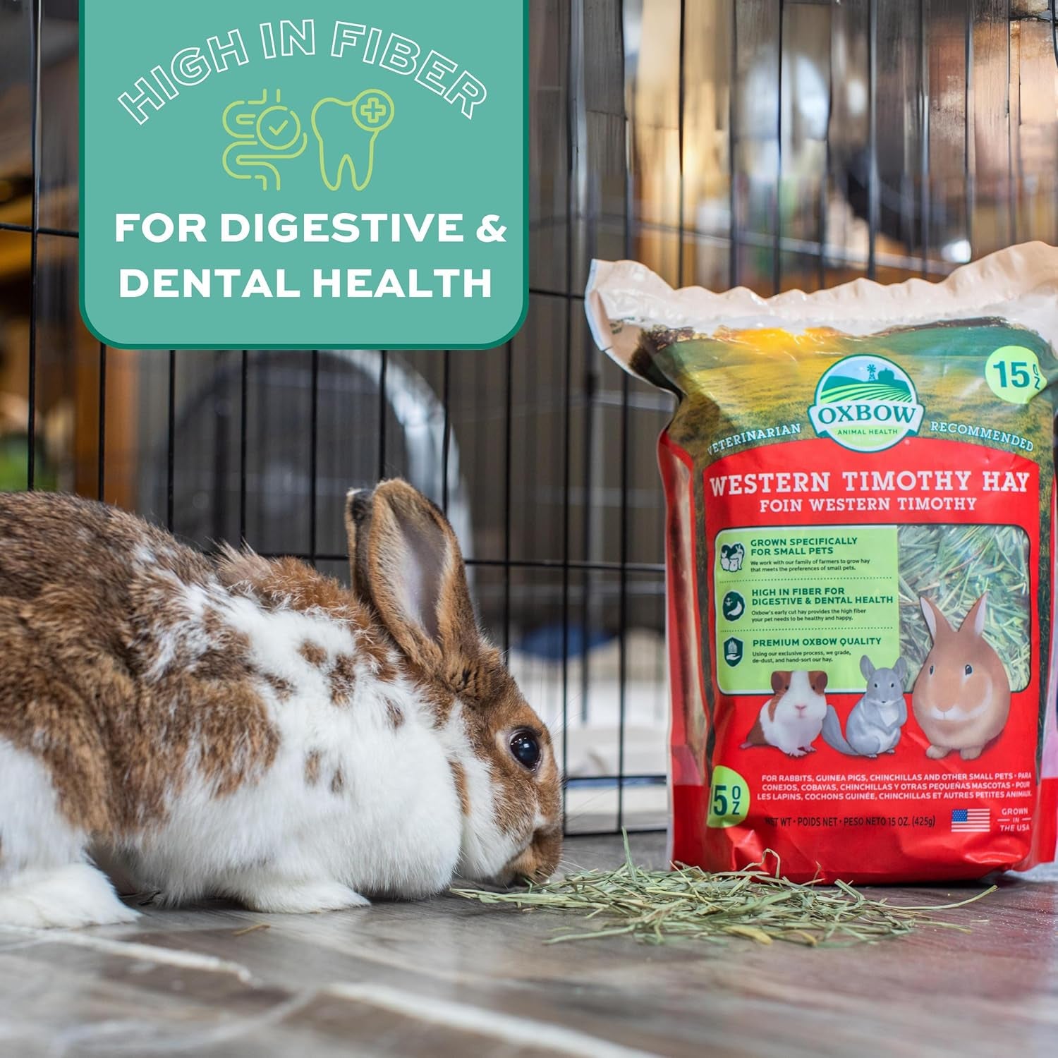 Animal Health Western Timothy Hay - All Natural Hay for Rabbits, Guinea Pigs, Chinchillas, Hamsters & Gerbils-Veterinarian Recommended- Digestive & Dental Health- Grown in the USA- 9Lb.