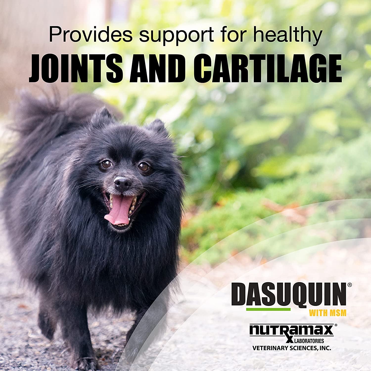 Dasuquin with MSM Joint Health Supplement for Small to Medium Dogs - with Glucosamine, MSM, Chondroitin, ASU, Boswellia Serrata Extract, and Green Tea Extract, 84 Soft Chews