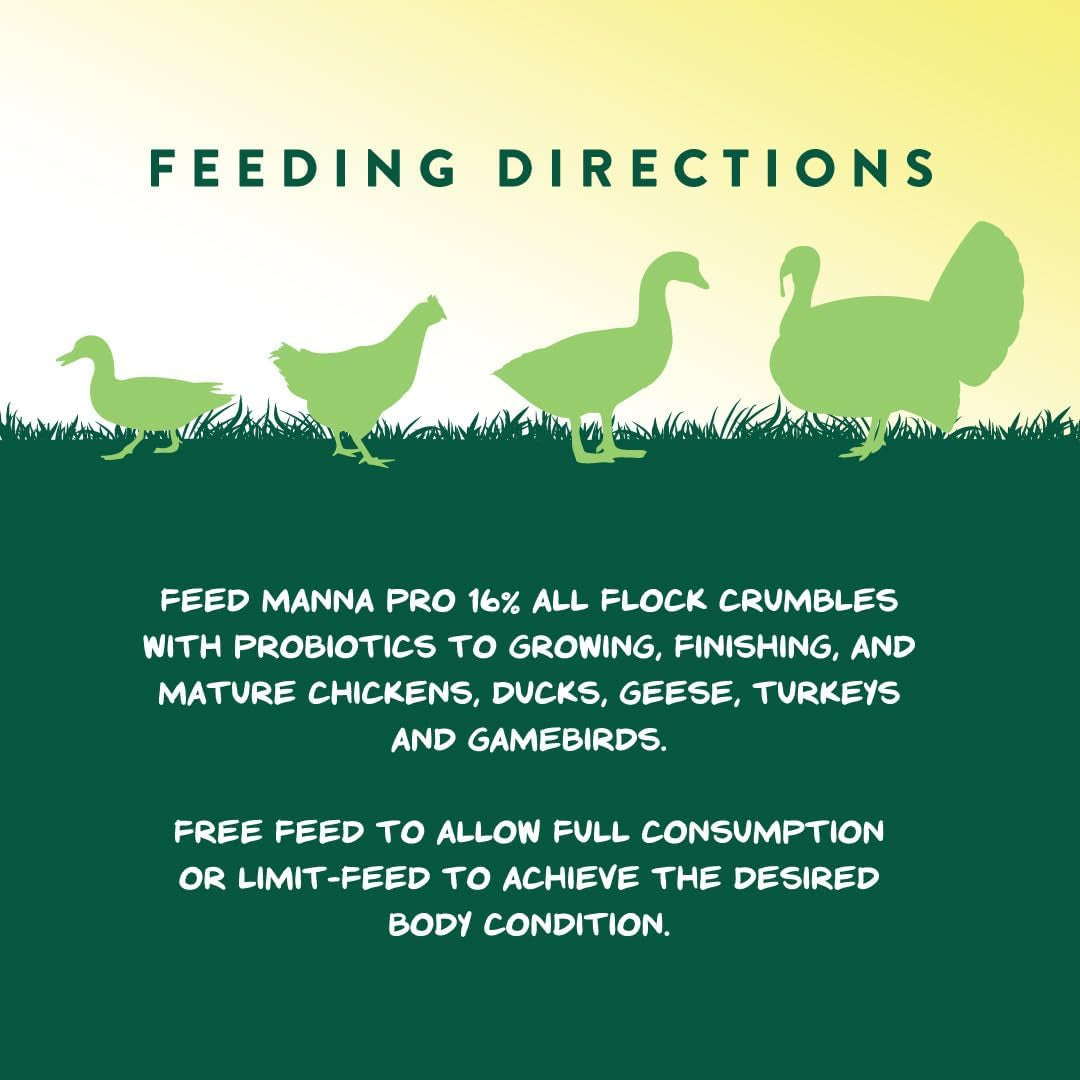 Manna Pro All Flock Crumbles, 16% Protein Level, Complete Feed for Chickens, Ducks, Geese, Turkeys and Gamebirds, Probiotics to Support Digestion, Crumbled Form for Easy Feeding