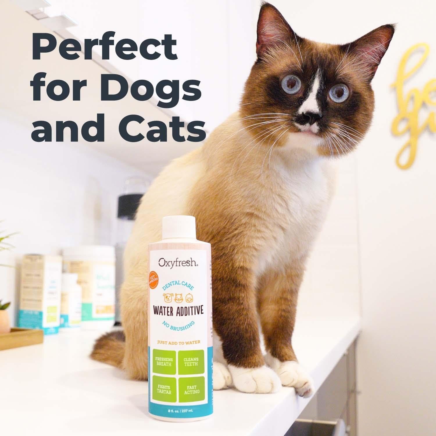 Premium Pet Dental Care Solution Pet Water Additive: Best Way to Eliminate Bad Dog Breath and Cat Bad Breath - Fights Tartar & Plaque - so Easy, Just Add to Water! Vet Recommended 16 Oz.