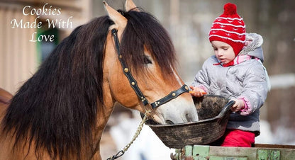 Horse Cookies & Treats - Premium All Natural Treats (5 Pound Bag)