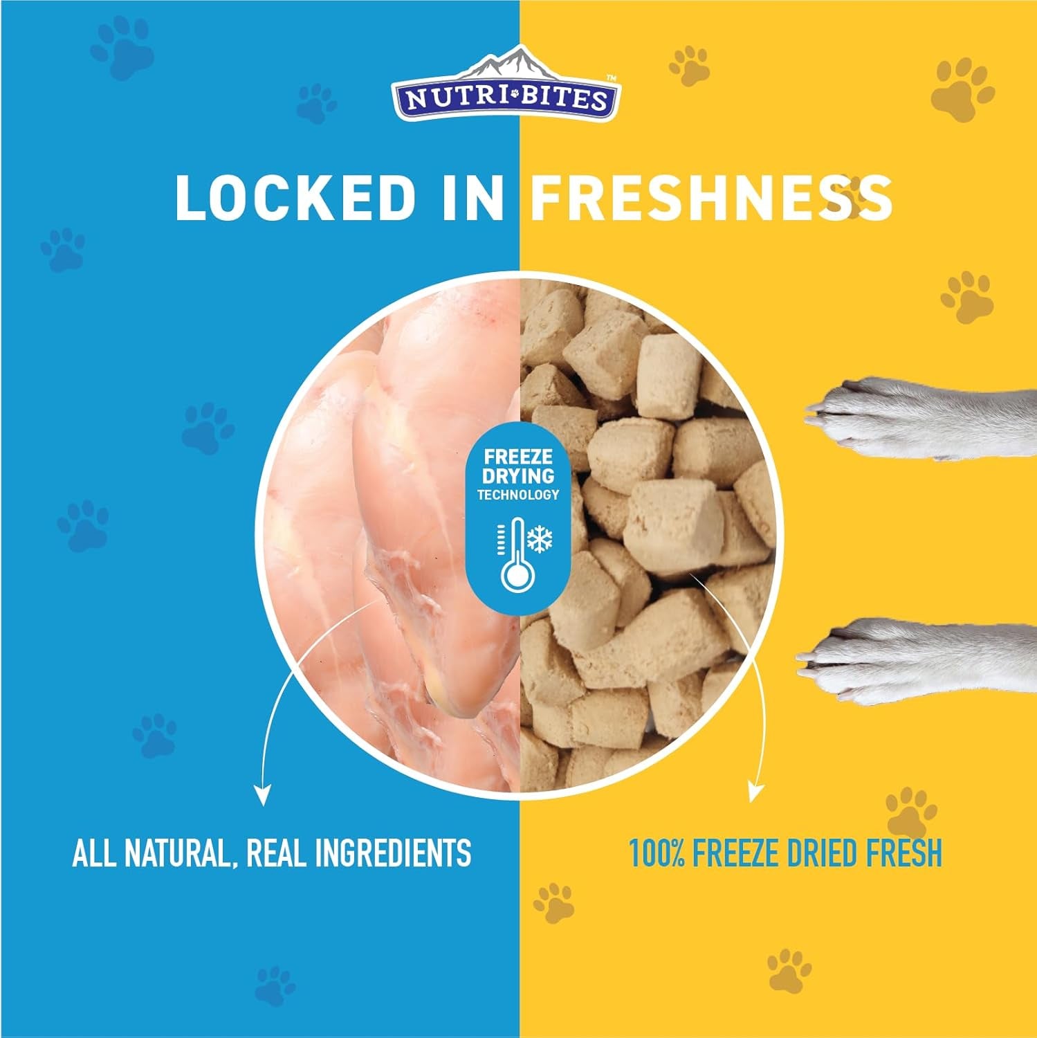 Nutri Bites Freeze Dried Chicken Dog & Cat Treats | Healthy Pet Training Treats or Food Topper | All Natural, 1 Single Animal Protein, High Protein | Premium Bulk Value Pack