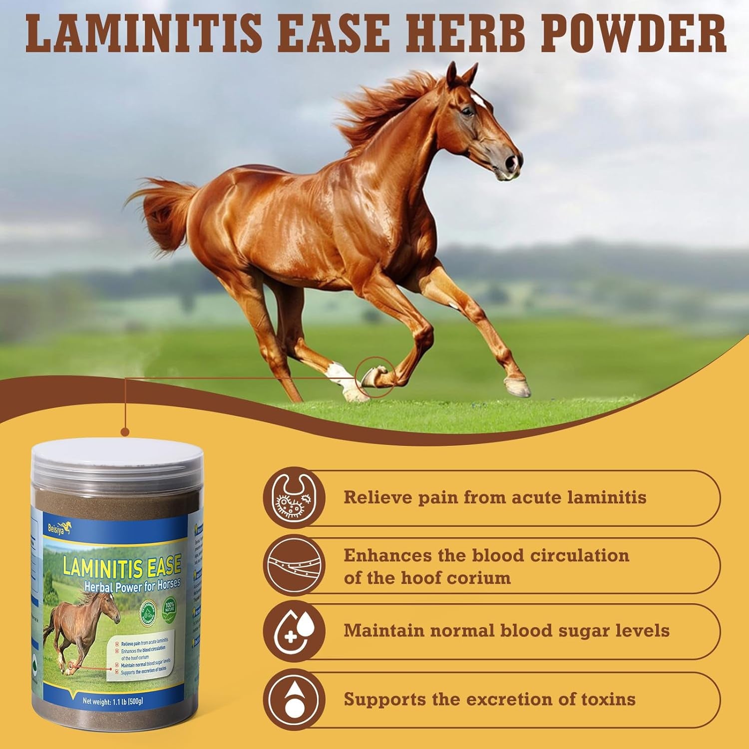 Horse Laminitis Treatment - Natural Herbal Powder Hoof Supplements for Horses with Laminitis, Ideal for Hoof Care & Sore Feet, Back to Pasture