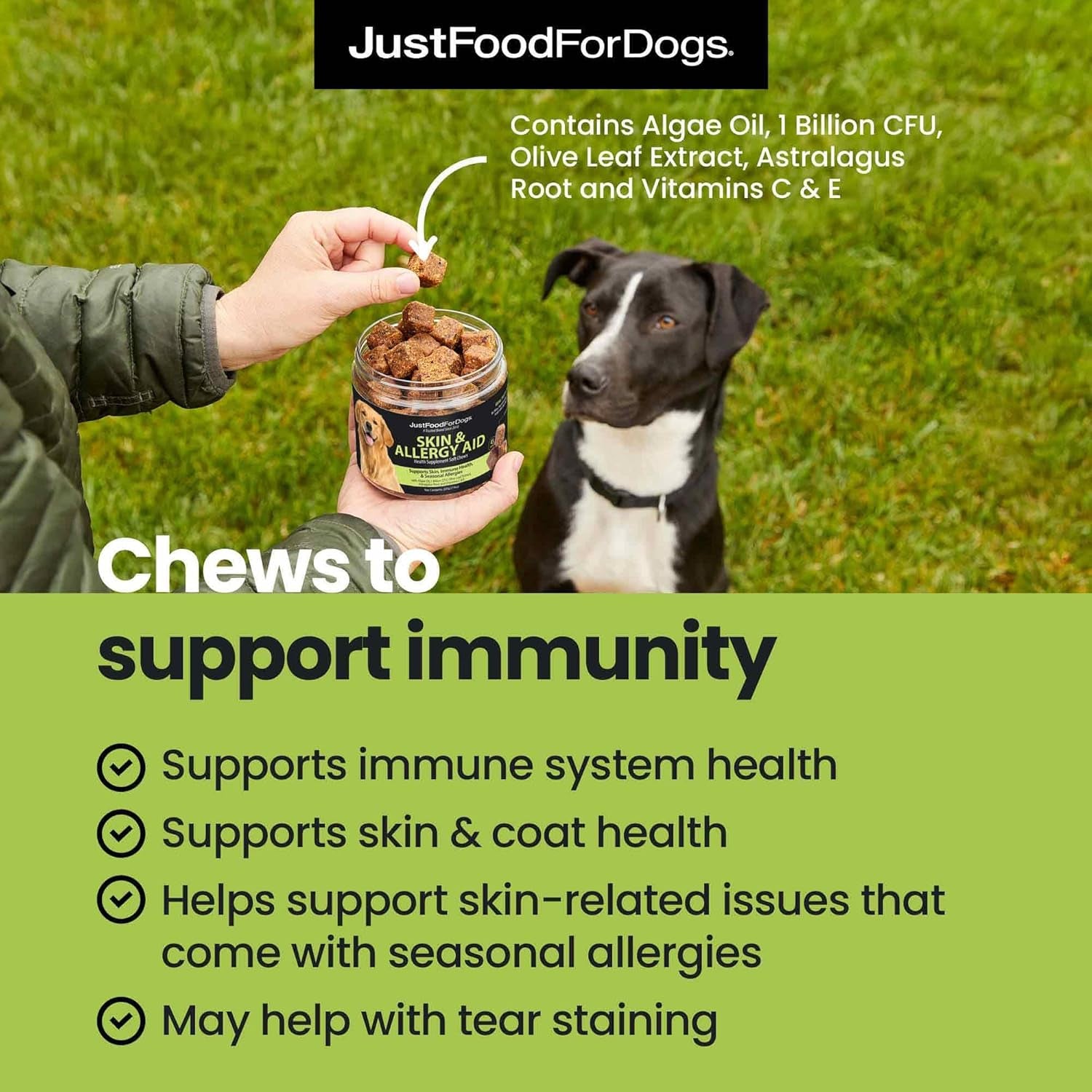 Justfoodfordogs Care Soft Chews Supplement for Dogs, Seasonal Allergies, Itchy Skin, Inflammation, Immune Support - 45 Count