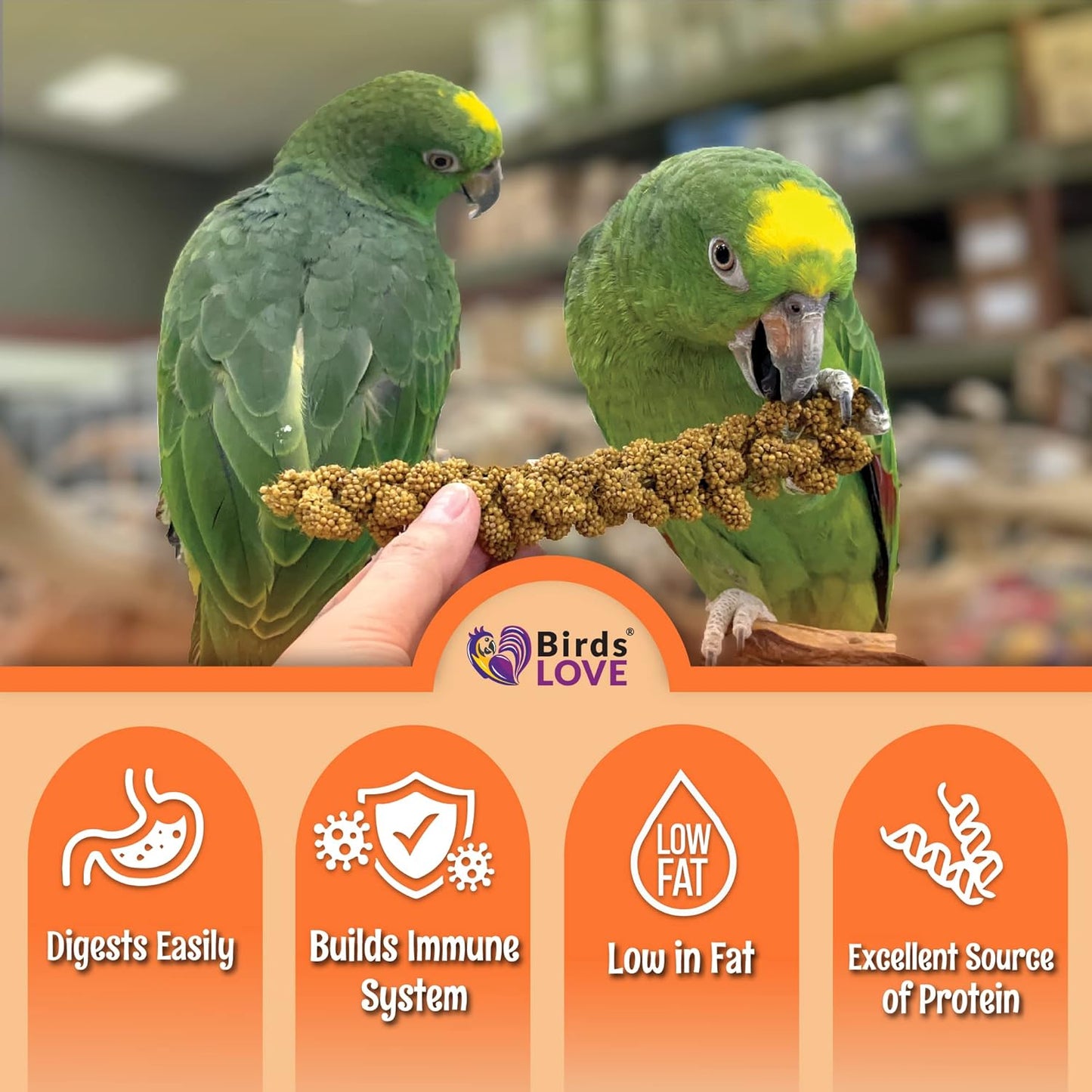 Birds LOVE Wholesome & Lovely Spray Millet - GMO Free (No Stems Only Edible Tops) for Parrots Cockatiel Lovebird Parakeet Finch Canary - Healthy Bird Treat