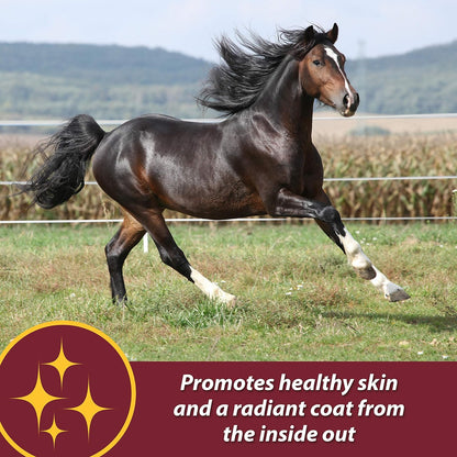 Farnam Laser Sheen Skin & Coat Supplement for Horses, Promotes Healthy Skin & Radiant Coat from the inside Out, 60 Day Supply