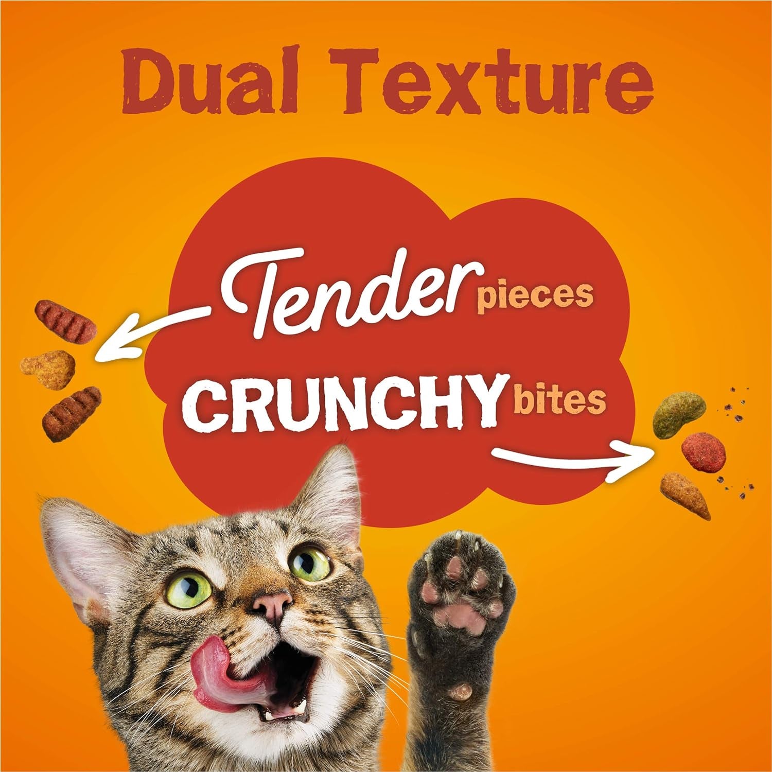 Purina Dry Cat Food, Tender & Crunchy Combo - 16 Lb. Bag