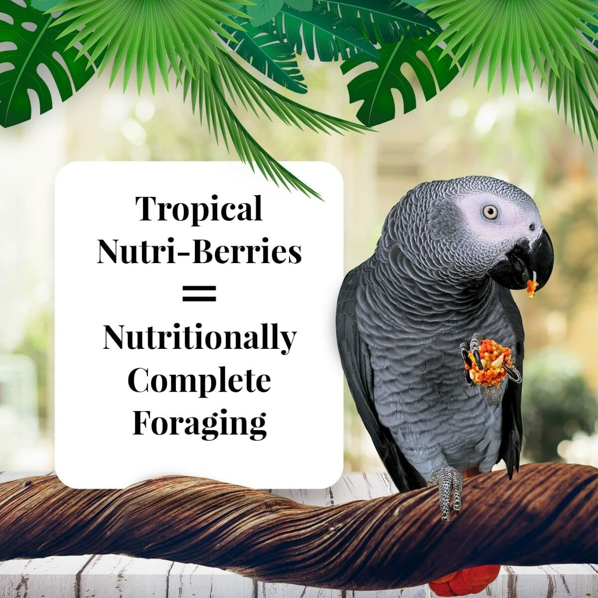 LAFEBER'S Tropical Fruit Nutri-Berries Pet Bird Food, Made with Non-Gmo and Human-Grade Ingredients, for Parrots