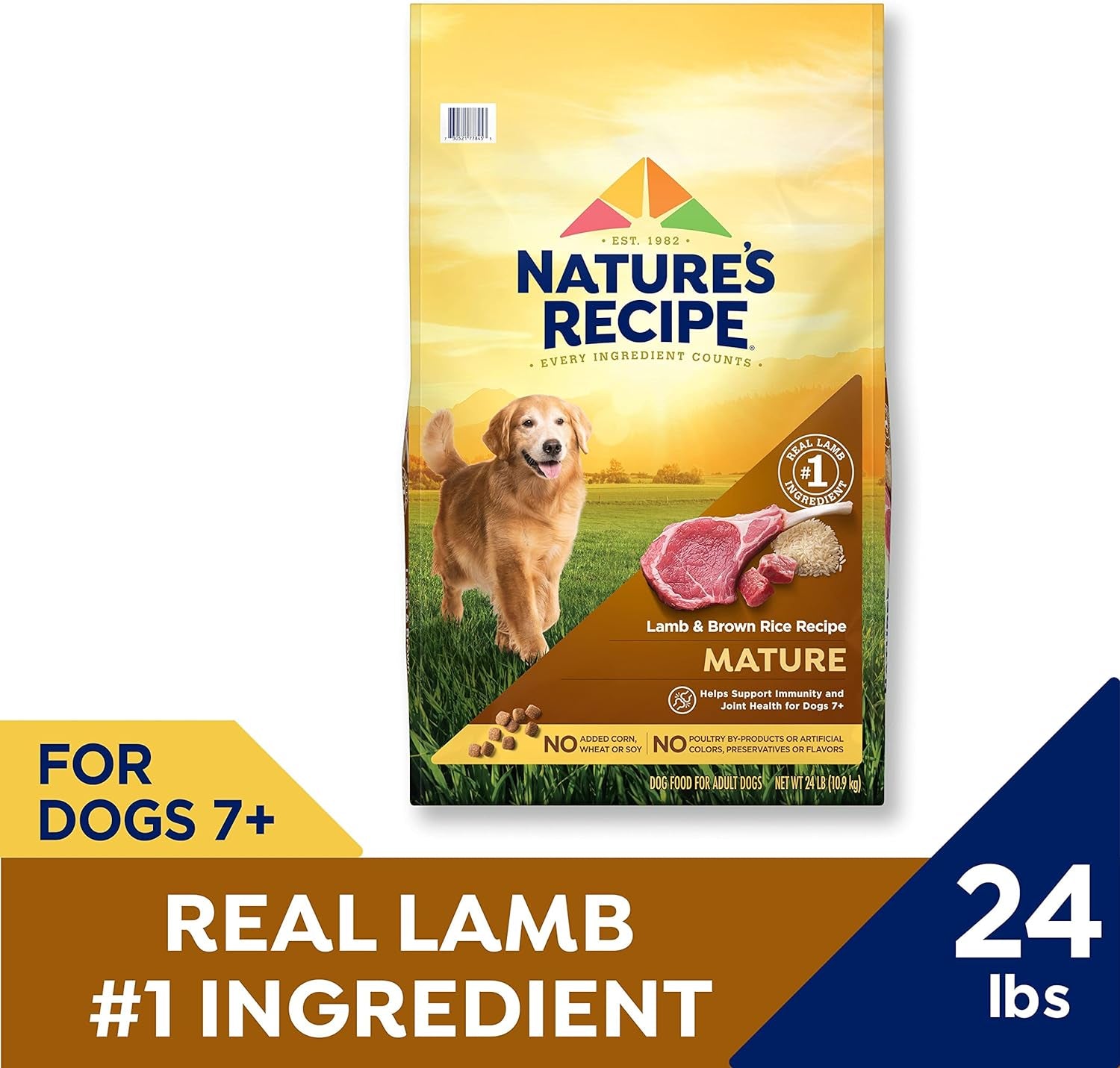 Nature’S Recipe Mature Lamb & Brown Rice Recipe Dry Dog Food