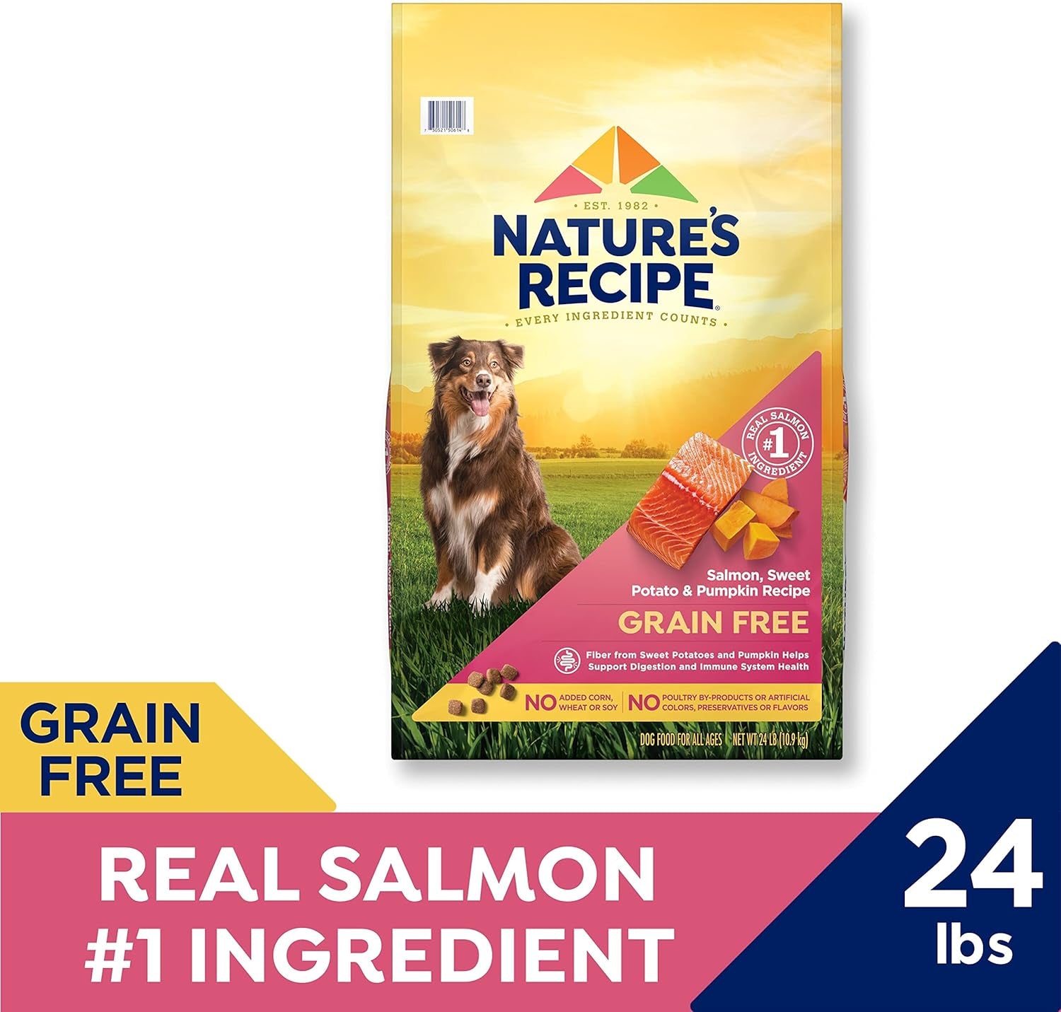 Nature’S Recipe Grain Free Salmon, Sweet Potato & Pumpkin Recipe Dry Dog Food, 24 Lb. Bag