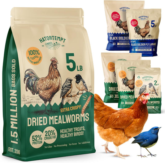 Dried Mealworms - Premium Organic Non-Gmo Dried Mealworms for Chickens - High Protein Chicken Feed Meal Worms for Wild Birds & Chicken Treats for Laying Hens