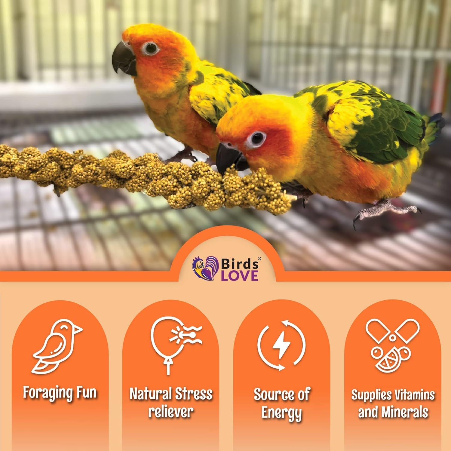 Birds LOVE Wholesome & Lovely Spray Millet - GMO Free (No Stems Only Edible Tops) for Parrots Cockatiel Lovebird Parakeet Finch Canary - Healthy Bird Treat